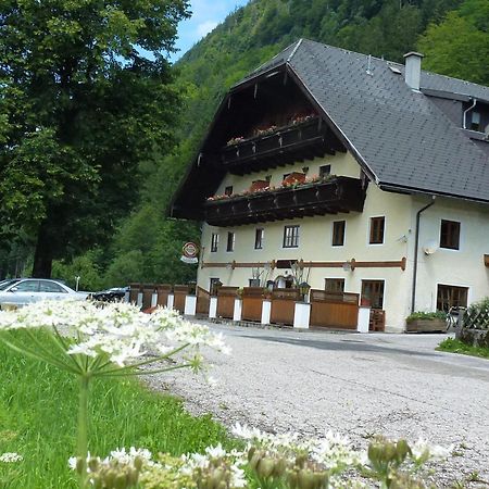 Готель Gasthof Steinbraeu Файштенау Екстер'єр фото